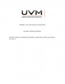 Ensayo Almacenes Garcia de Mexico.