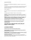 El derecho y sus ramas.