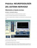 Práctica: NEUROFISIOLOGÍA DEL SISTEMA NERVIOSO