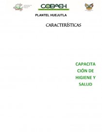 CARACTERÍSTICAS GENERALES Y ESPECÍFICAS PARA LOS PROYECTOS FORMATIVOS INTEGRADORES. Página 1