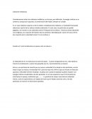 Colisiones Inelasticas