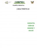 CARACTERÍSTICAS GENERALES Y ESPECÍFICAS PARA LOS PROYECTOS FORMATIVOS INTEGRADORES