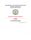 DISEÑO CURRICULAR.