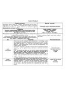 PLAN DE TRABAJO CURRICULAR