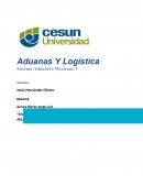 Ensayo sistema aduanero mexicano y sistema electronico aduanero, su diferenciacion e importancia