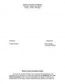 Noticia, opinion y reporte