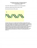 ADN Y ARN desde la perspectiva de la diversidad genética.