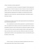 ¿Porque es importante una cultura organizaconal ?