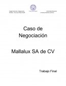 Características del cliente y su negocio Mallalux SA de CV