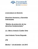 Medios de protección de los derechos fundamentales.