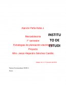 Estrategias de planeación electrónica