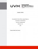 ESTRATEGIAS COMPETITIVAS SEGÚN PORTER13