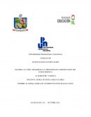 EL NIÑO: DESARROLLO Y PROCESOS DE CONSTRUCCION DEL CONOCIMIENTO