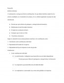 Control Identificación y clasificación de contribuyentes