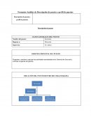Como se da el Formato para analisis de puestos