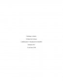 LIDERAZGO Y TRABAJO EN EQUIPO. BARRERAS