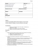 Realiza una lluvia de ideas (al menos 3) sobre lo que consideras es Seis Sigma.