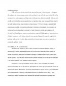 Características tan peculiares que lo hacen singular y distinguen de cualquier otro esto es porque nuestra vida es producto de un sinfín de experiencias