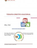 Terapia emotivo reacional