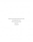 Propuesta de mejora del modelo organizacional de la empresa. Gestión de la Prevención de Riesgos