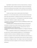 Es rentable la diversificación ?