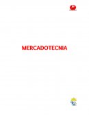 MERCADOTECNIA INVESTIGACIÓN DE MERCADO UNIVERSO