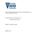 CAUSAS PSICOLÓGICAS DEL ABORTO DE ADOLESCENTES de 15 A 18 EN LA CLINICA DEL VEFFAC