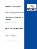 TEMA: Comunicación Organizacional en una Empresa real.