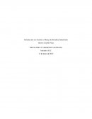Introducción a la Gestión y Manejo de Residuos Industriales