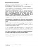 Ensayo Literario: “Viva con Esperanza”