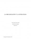 La organizacion y la estrategia