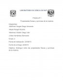 Propiedades físicas y químicas de la materia.