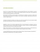 Entorno Economico Futuro SA