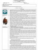 HOJA DE RESUMEN LECTURA OBLIGATORIA