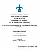 Caries dental y otros factores relacionados al niño obeso y en normopeso