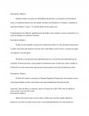 Descripcion objetiva y subejitva