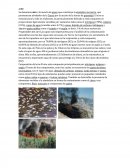 Aire. Trabajo de investigación