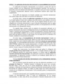 La aplicación del derecho internacional: la responsabilidad internacional