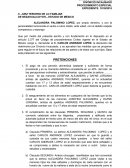 DIVORCIO INCAUSADO - PROCEDIMIENTO ESPECIAL