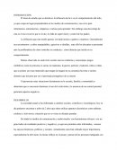 USO DE LA TELEVISIÓN.