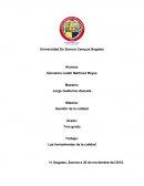 Trabajo Las herramientas de la calidad