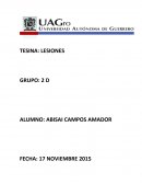 LESIONES