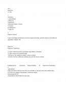 Implementación de las 5S+1: Mejora continua y cultura de calidad en el entorno laboral