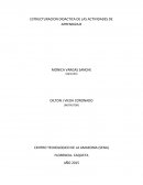 ESTRUCTURACION DIDACTICA DE LAS ACTIVIDADES DE APRENDIZAJE