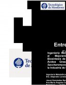 Ingeniería Metbólica aplicada a los biocombustibles