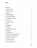 Ensayo : Impermeabilizante