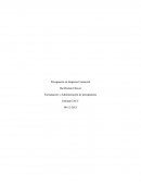 Presupuesto en Empresa Comercial. Formulación y Administración de presupuestos