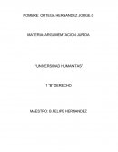 ART. 247C.P.F Delito de falsedad de declaraciones.