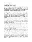 CÍRCULO DE SMYTH DESCRIPCIÓN: ¿Qué es lo que hago?