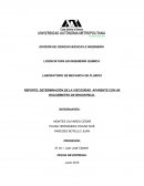 REPORTE: DETERMINACIÓN DE LA VISCOSÍDAD APARENTE CON UN VISCOSÍMETRO DE BROOKFIELD